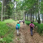 Apartamento Tree Rogla