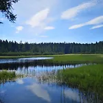 Tree Rogla * Zreče