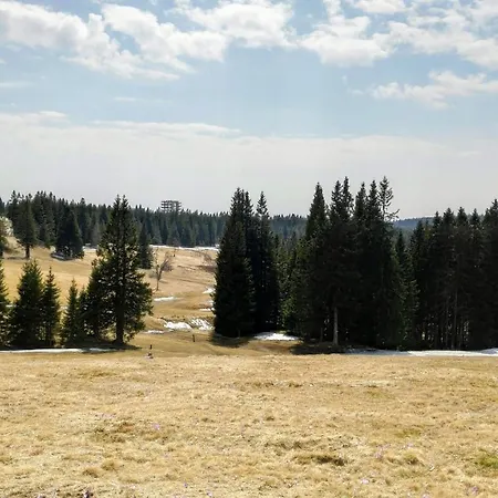 Tree Rogla * Зрече