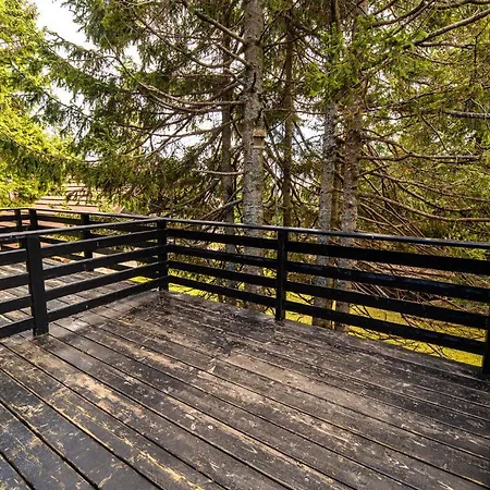 Apartmán Tree Rogla Zreče