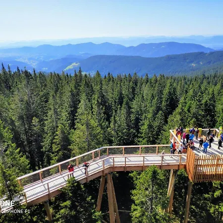 Апартаменты Tree Rogla Зрече