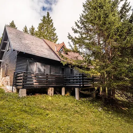 Tree Rogla * Зрече