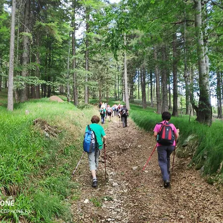 Διαμέρισμα Tree Rogla