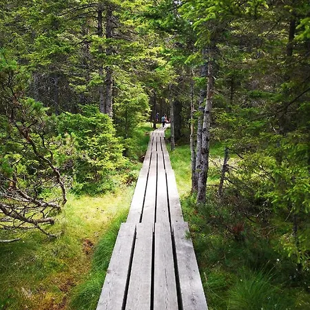 Апартаменты Tree Rogla Зрече