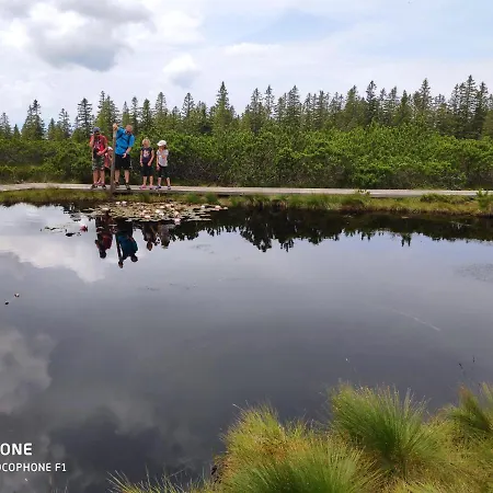 Tree Rogla Зрече