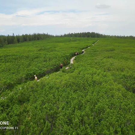 Appartement Tree Rogla