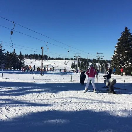 Tree Rogla Апартаменты Зрече