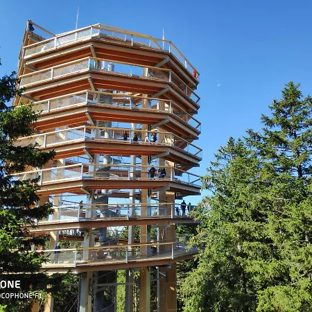 Tree Rogla Апартаменты