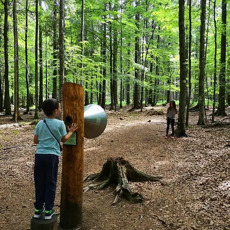 Tree Rogla * Зрече