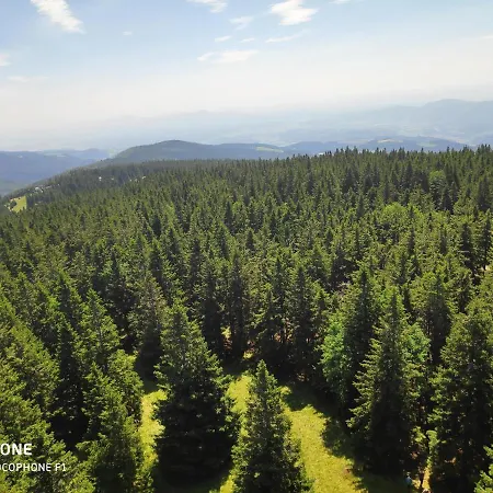 Tree Rogla Апартаменты