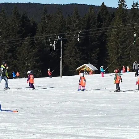 Apartman Tree Rogla *