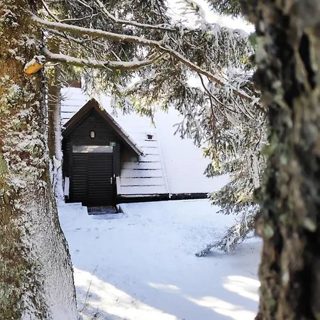 Apartman Tree Rogla *