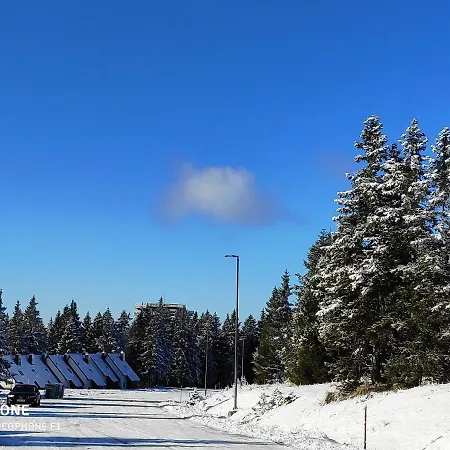 Апартаменты Tree Rogla *