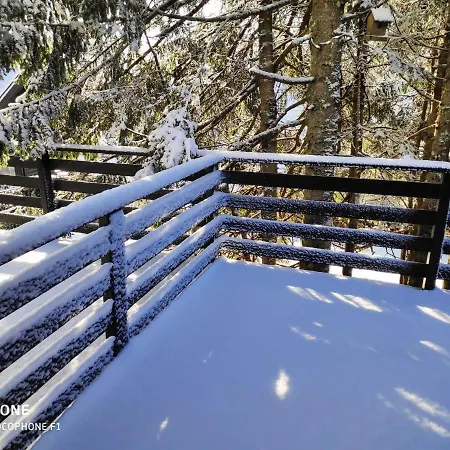 Tree Rogla Апартаменты