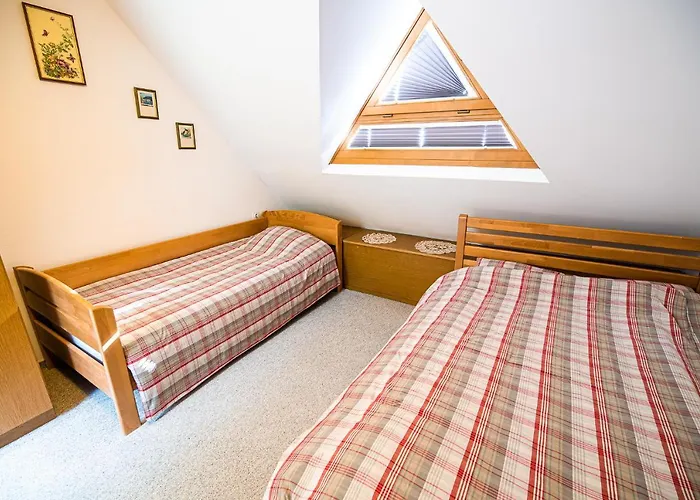 Tree Rogla Apartment