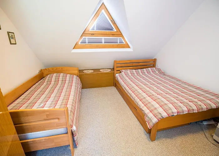 Tree Rogla Apartment