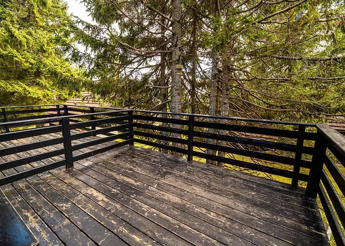 Apartment Tree Rogla Zrece