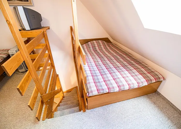 Tree Rogla Apartment