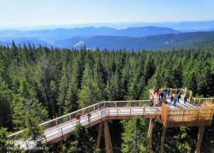 아파트 Tree Rogla 즈코르녜즈레쎄