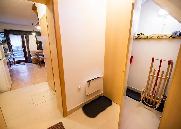 Apartment Tree Rogla Zrece