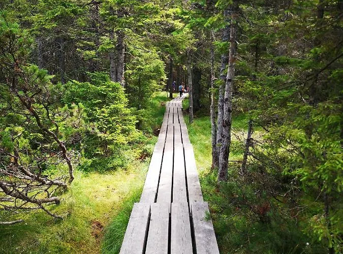 דירה Tree Rogla Zreče