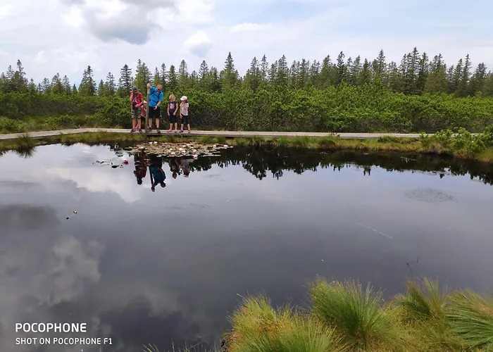 Tree Rogla 즈코르녜즈레쎄