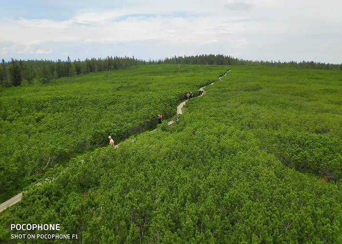 아파트 Tree Rogla