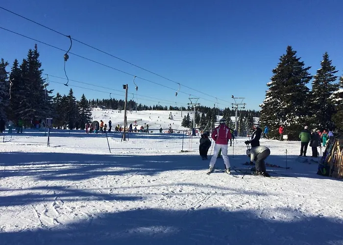 Tree Rogla 아파트 즈코르녜즈레쎄