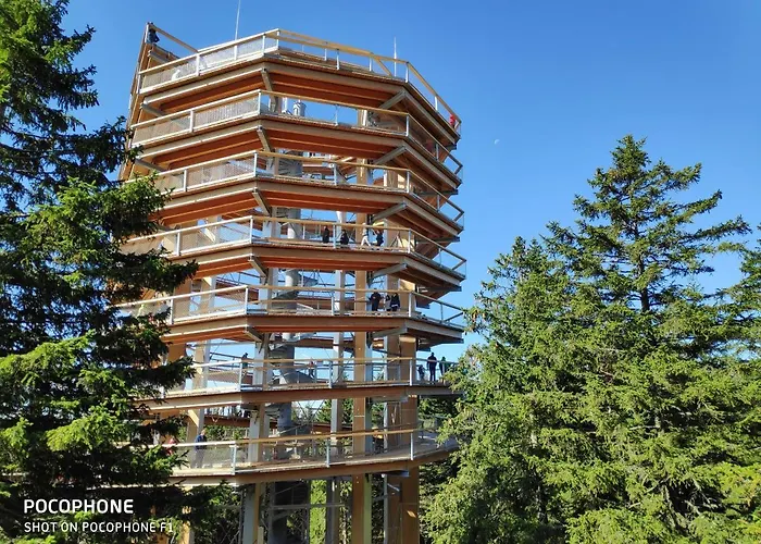 Tree Rogla 아파트