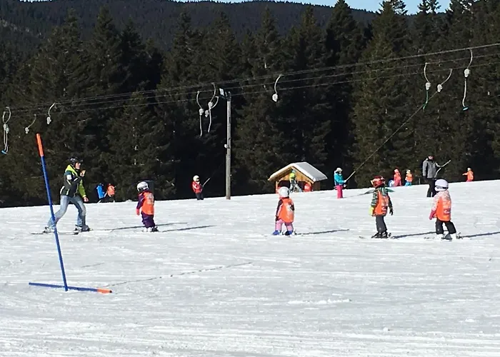 דירה Tree Rogla *