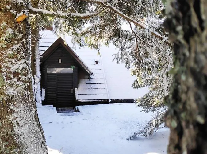 דירה Tree Rogla *