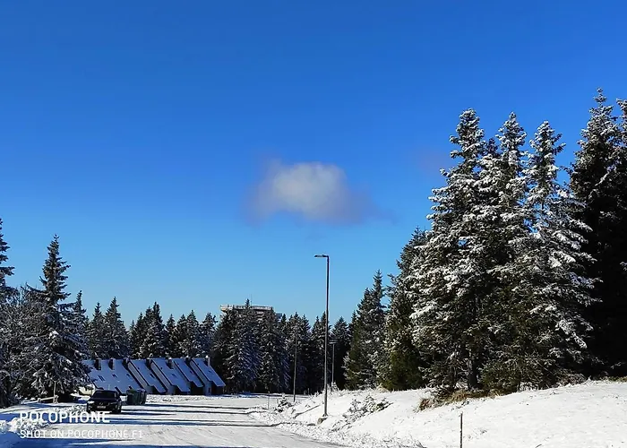 דירה Tree Rogla *