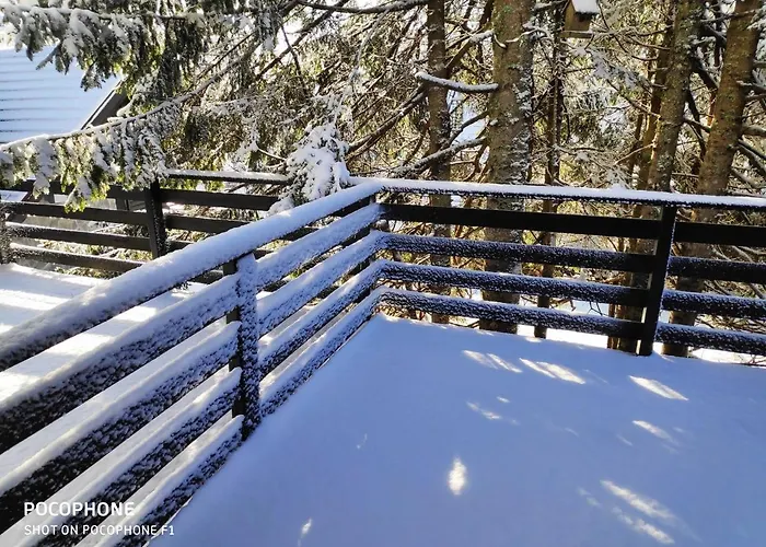 Tree Rogla Apartment